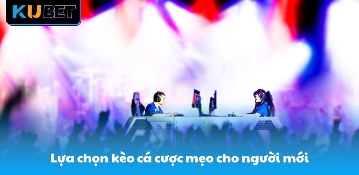 Lựa chọn kèo cá cược mẹo cho người mới